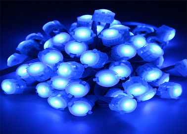 IP67 0.25W Blue DC12V 5050 20mm LED Pixel Light Dengan 120 Sudut Beam