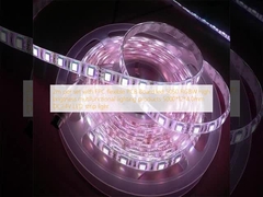 2m per set dengan Papan PCB fleksibel FPC LED 5050 RGBW kecerahan tinggi produk pencahayaan multifungsi 5000*12*4.0mm DC24V Lampu strip LED