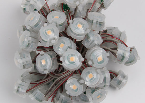 Outdoor DC12V 20mm SMD 5050 IP67 Led Pixel Christmas Lights 2000mcd