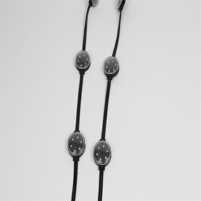 Smd3535 DC24V LED Point Lights IP67 2W RGBW Outdoor Waterproof DMX 512