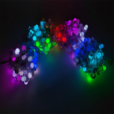 Smart 12mm SMD5050 RGBW Pixel LED String Light IP67 Outdoor Decoration with Changeable Emitting Color PC Lamp Body