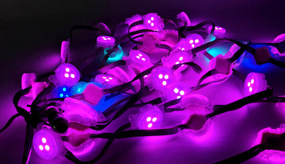 6m Per Row LED Strip Light IP67 Rated Suitable For Garden Park Lighting