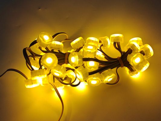 20mm IP67 Waterproof 120 Beam Angle PC Material LED Point Light SMD5050 RGBW