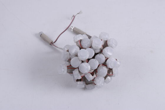 Waterproof LED Point Light 20mm DC12V Ip67 High Lumen Outdoor Garden And Building Ambient Lamp