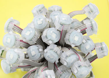 20mm Miracle Bean Waterproof LED Point Light 0.3W Dengan Garansi 2 Tahun
