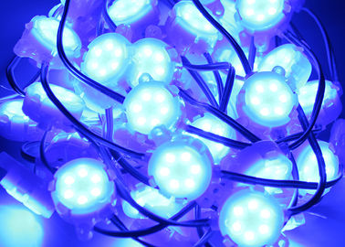 Epistar tahan air SMD 5050 RGB 30mm Blue Point Led Light Outdoor