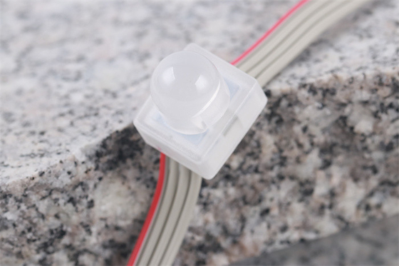 SMD5050 LED Pixel Light IP67 DC12V 0.3W Satu Warna Kacang Keajaiban Tahan Air