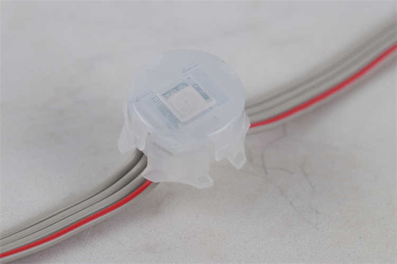 Miracle Bean Led Point Pixel Light Outdoor DC12V IP67 0.3W RGB Penuh Warna