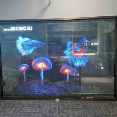 Layar Film LED Transparan Indoor Full Color Flexible Transparent LED Screen