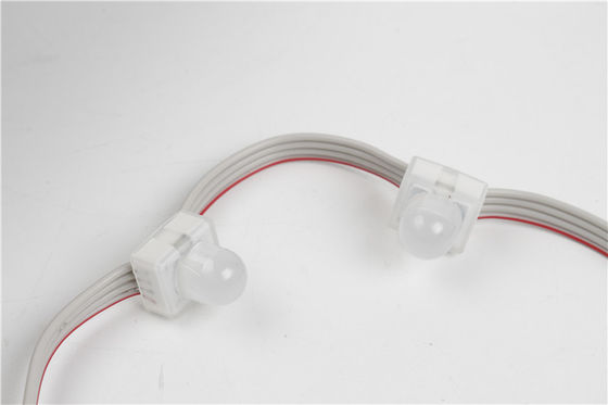 SMD5050 IP67 DC12V 0.3W Satu Warna Waterproof LED Pixel Light