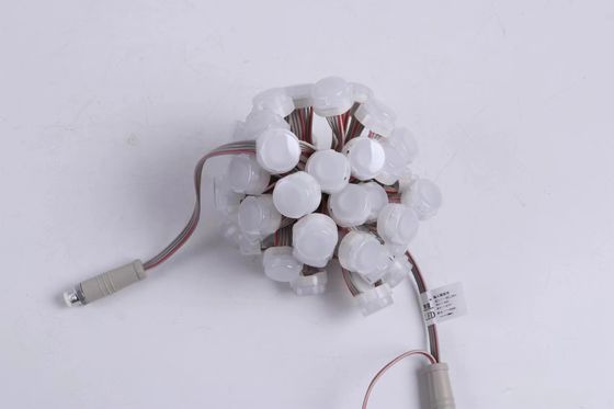 IP67 23mm Lampu Titik LED dengan Warna RGB untuk Lingkungan Luar