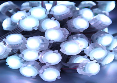 Disesuaikan 1 Chip 5050 0.25w LED Point Light Putih Warna Tunggal 20mm Pixel LED