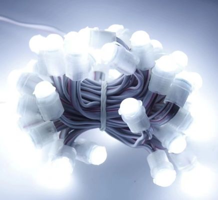 lampu LED putih tahan air 50 LED DC 12V 9mm Led Pixel String Light