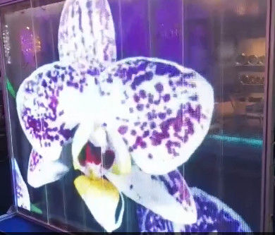 Fleksibel transparansi perekat LED Film Layar tipis Iklan Video Wall P6DC5V WE2121RGB 16bit