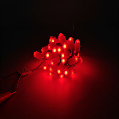 Miracle Bean LED Dekorasi Natal Lampu Titik LED Warna Tunggal Lampu Pixel yang dapat diprogram
