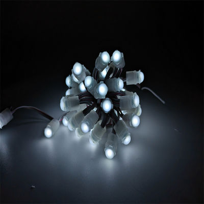 High quality outdoor IP67 waterproof Single Color 0.2W  Led DC 12V 9mm Led Pixel Light