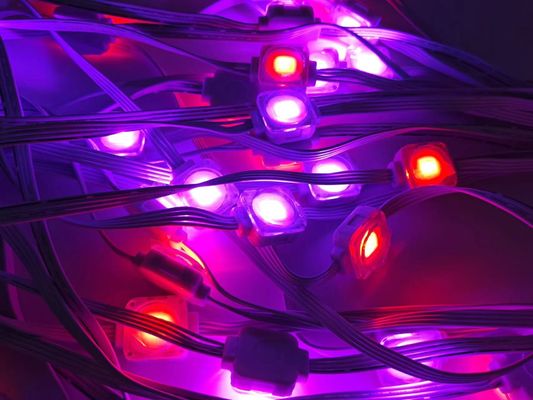 24V String Point Smart Eaves Lighting Holiday Ambilight 100ft RGBIC LED Permanent Eaves Light