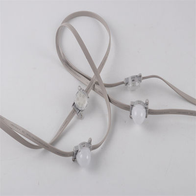 Grosir 24V SMD3535 IP67 Single And RGB Color Changing Programmable LED Pixel Chain Light Dengan Controller