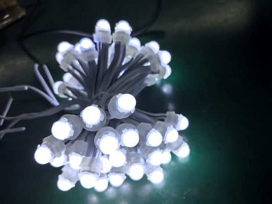 9 cm Lampu Titik PVC Sumber LED berwarna dan Kontrol SPI untuk Aplikasi Lansekap