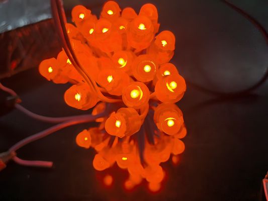 Acrylic Led Backlight RGBIC DC5V Jellyfish Lampu Natal untuk Dekorasi Luar Ruang