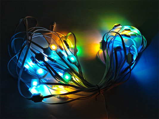 24V Brilliant Colorful Rgbw LED Pixel Point Outdoor LED Eave Lights Kit