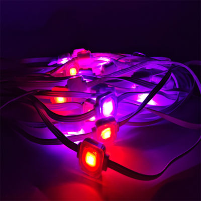 Outdoor magic RGB SMD5050 1.5W DC24V Operating Voltage Smart home pixel eave lights