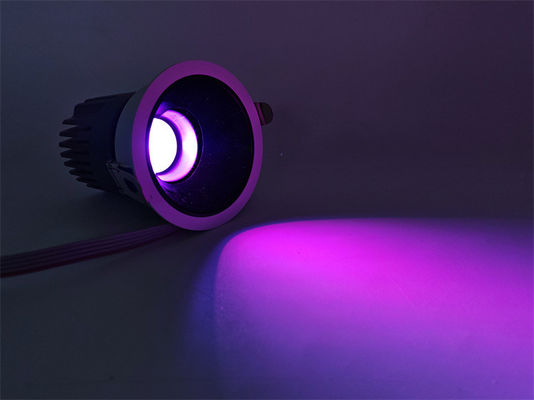 Lampu sorot ruangan 20W Lampu warna melingkar dengan frekuensi 50-60Hz