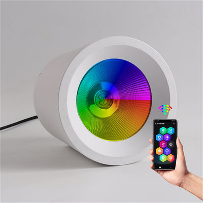 Watt 60W LED Downlight RGBW disesuaikan untuk Restoran Indoor dan Toko Pencahayaan