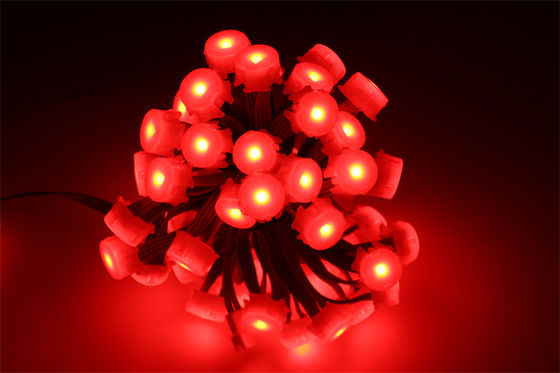 Lampu Pixel LED RGB Digital 20mm DC 12V Untuk Pusat Perbelanjaan, ​​ Rangkaian Pixel LED