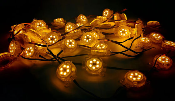 DMX512 IC Chip Waterproof Aluminum Profile Led Pixel Point Lights for Permanent Christmas Decoration at DC12V Working Voltage