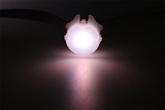 Lampu Pixel LED 20MM IP67 Tahan Air Luar Ruangan RGB RGBW DMX 512 12v Lampu Dinding Berwarna-warni Sumber Cahaya Titik