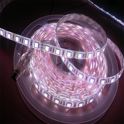 FPC Flexible PCB Board led 5050 RGBW produk pencahayaan multifungsi bercahaya tinggi 5000*12*4.0mm DC24V lampu strip LED