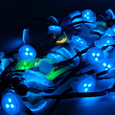 High Brightness 30mm Waterproof RGB Full Color Outdoor IP67 DC12V SMD3535 LED Source Pixel Point Light