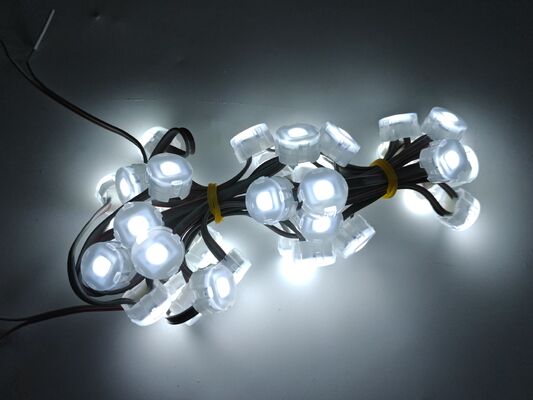 22.83mm 12V IP67 Waterproof LED Point Light dengan sudut sinar 120 derajat Terbuat dari bahan PC