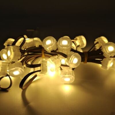 IP67 Waterproof 20mm DC5V SMD5050 LED Point Light Fleksibel PC Material Pencahayaan