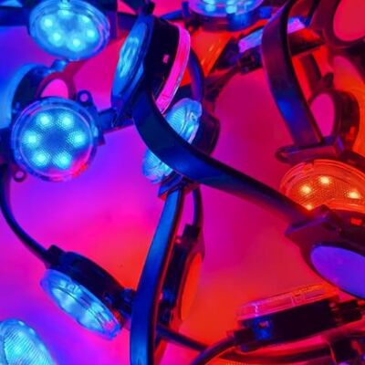 DC24V SMD3535 IP67 Waterproof LED Point Light untuk ruangan dengan ketahanan yang sangat baik terhadap faktor lingkungan