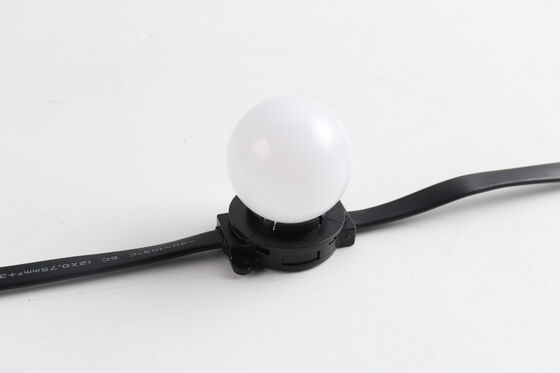 Lampu Globe LED Dekoratif IP67 dengan Sumber Cahaya Impor Untuk Taman Tema Dan Proyek Pencahayaan Jalan Kota