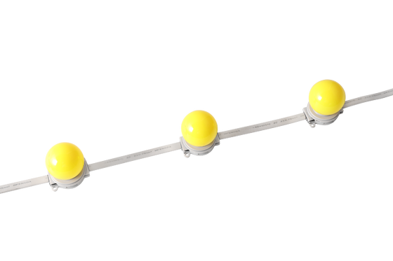 40mm IP67 Waterproof DC 24V LED Globe Light untuk Lampu Arsitektur Luar Ruang