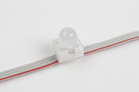 12mm RGB SMD5050 LED Point Light IP67 DC5V Through-Hole Anchor Pixel Light dengan sudut sinar 160