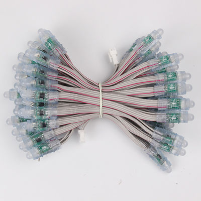 Miracle Bean 12 Mm RGB BIS Sertifikat WS2811 1903 LED Pixel Light RGB Tahan Air LED String 5 V 12 V 50 Pcs