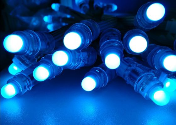 Miracle Bean 12mm Rgb Addressable WS2811 1903 Natal Penuh Warna RGB F8 12mm 5V 12V LED Pixel Light Dari Pabrik