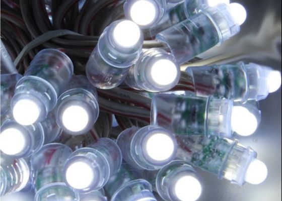Taman Hiburan 12V 5V Led Pixel Light 0.3W RGB WS2811 1903 Piksel Digital Untuk Natal