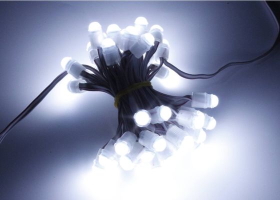 Miracle Bean 0.2w 16lm LED Titik Cahaya Pixel 9mm 12v IP67